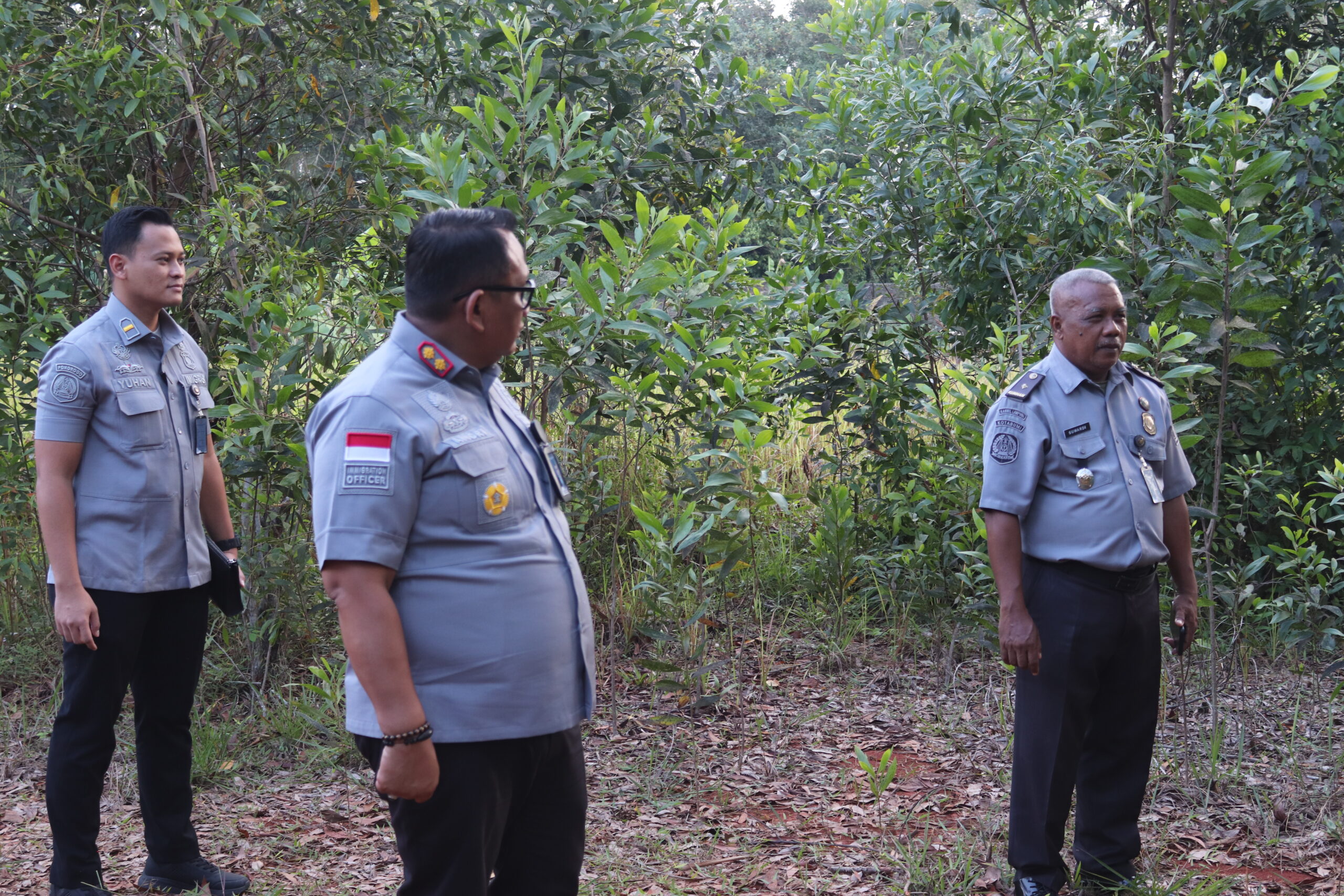 Kepala Kantor Imigrasi Kelas II Non TPI Kotabumi, Moch. Andri Budiman, bersama jajaran pejabat struktural melaksanakan survei lapangan sebagai persiapan program penanaman bibit kelapa. Survei ini bertujuan untuk memastikan kondisi lahan yang akan digunakan benar-benar sesuai dan layak bagi pelaksanaan program penghijauan. Langkah ini menjadi bagian penting dalam mendukung pelestarian lingkungan sekaligus menjaga keberhasilan program penanaman bibit kelapa. Dengan pengecekan langsung di lokasi, diharapkan seluruh persiapan dapat berjalan optimal sehingga kegiatan nantinya mampu memberikan manfaat nyata, baik bagi masyarakat maupun lingkungan sekitar.
