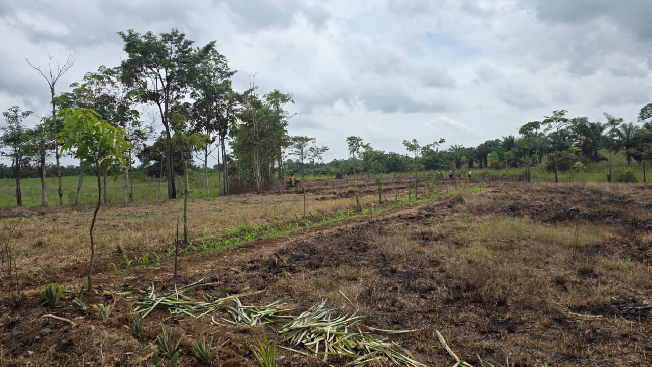 Sinergi Imigrasi dan Pemasyarakatan: Peninjauan Lahan untuk Optimalisasi Program Kemenkumham