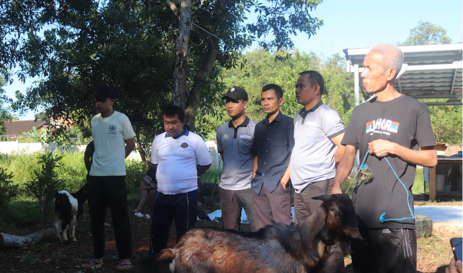 Kantor Imigrasi Kelas II Non TPI Kotabumi Laksanakan Pemotongan Hewan Qurban Idul Adha 1447 H / 2026 M